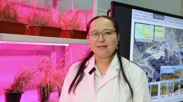 Satbayev University’s young scientists have proposed a new way of revegetating the disturbed areas