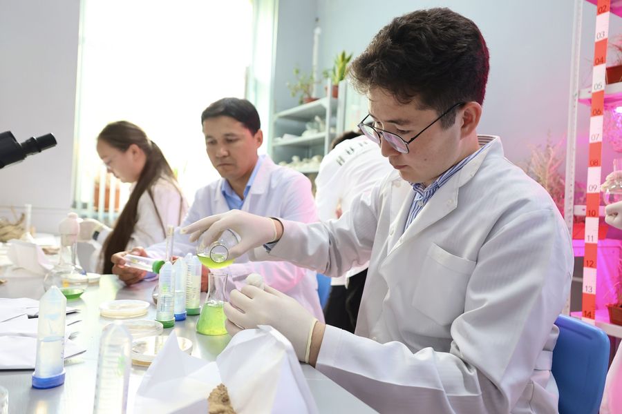 Satbayev University’s young scientists have proposed a new way of revegetating the disturbed areas